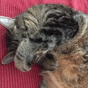 Meet your Posher, Meg